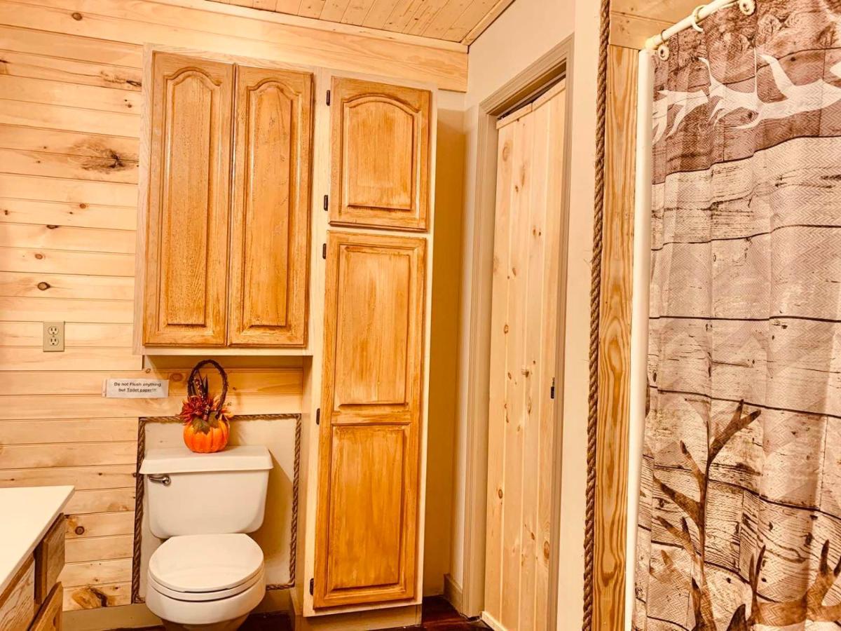 Lazy Bear Cabin سيفيرفيل المظهر الخارجي الصورة